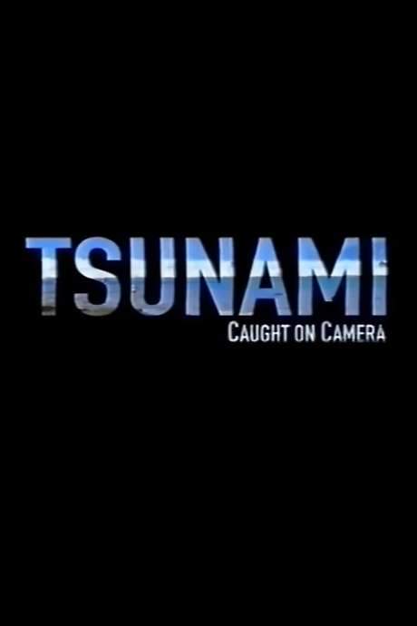 Tsunami: Caught on Camera